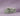 #color_krypton-green
