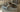 How to Style a Carpet in the Living Room