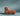 #color_copper-tan